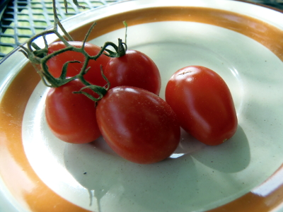 Valdo pear tomato - Click Image to Close